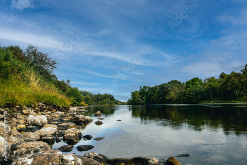river in the forest