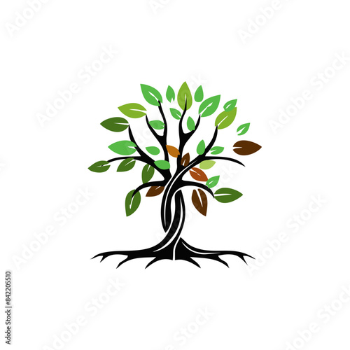 Leaves of various colors combined with beautiful trees