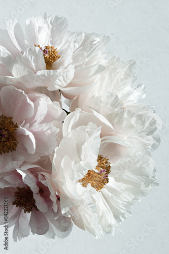 Fototapeta Naklejka Na Ścianę i Meble -  peonies