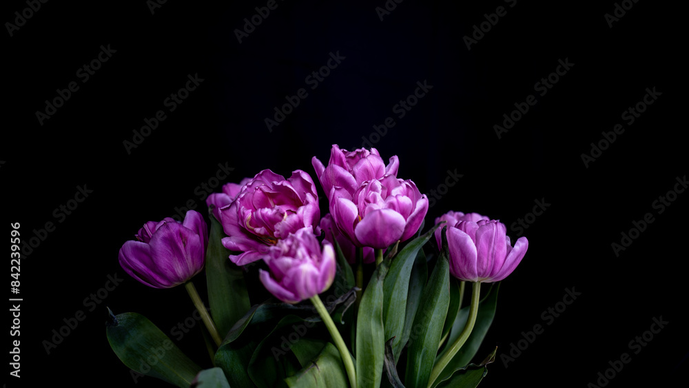 Obraz premium Flowers in black background
