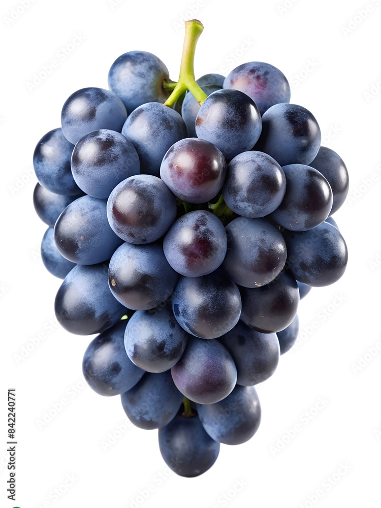 dark blue grape dark blue grape