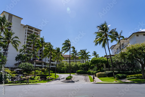Fototapeta Naklejka Na Ścianę i Meble -  Four Seasons Resort Oahu at Ko Olina,  he coconut tree (Cocos nucifera) is a member of the palm tree family (Arecaceae) and the only living species of the genus Cocos. coconut palm
