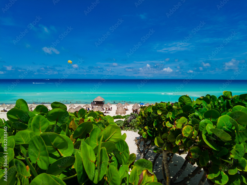 El Mirador dolphin beach, Cancun El Mirador dolphin beach, Cancun