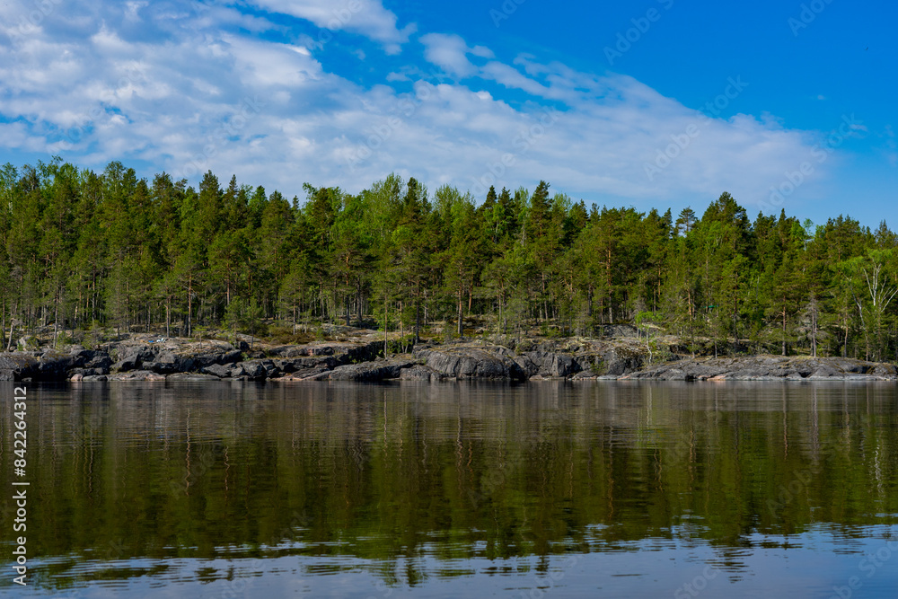 The stone shore of the island is overgrown with pine forest. Summer nature landscape of Karelia The stone shore of the island is overgrown with pine forest. Summer nature landscape of Karelia