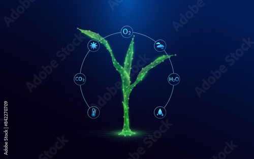 Green seedling corn growing from polygon fertile ground. With icon Oxygen Carbon Dioxide Water H2O and Cloud, Sun. Ad agricultural industry minerals fertilizer. Agriculture environment concept. Vector