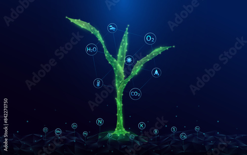 Green seedling corn growing from polygon fertile ground. With icon Oxygen Carbon Dioxide Water H2O and Cloud, Sun. Ad agricultural industry minerals fertilizer. Agriculture environment concept. Vector