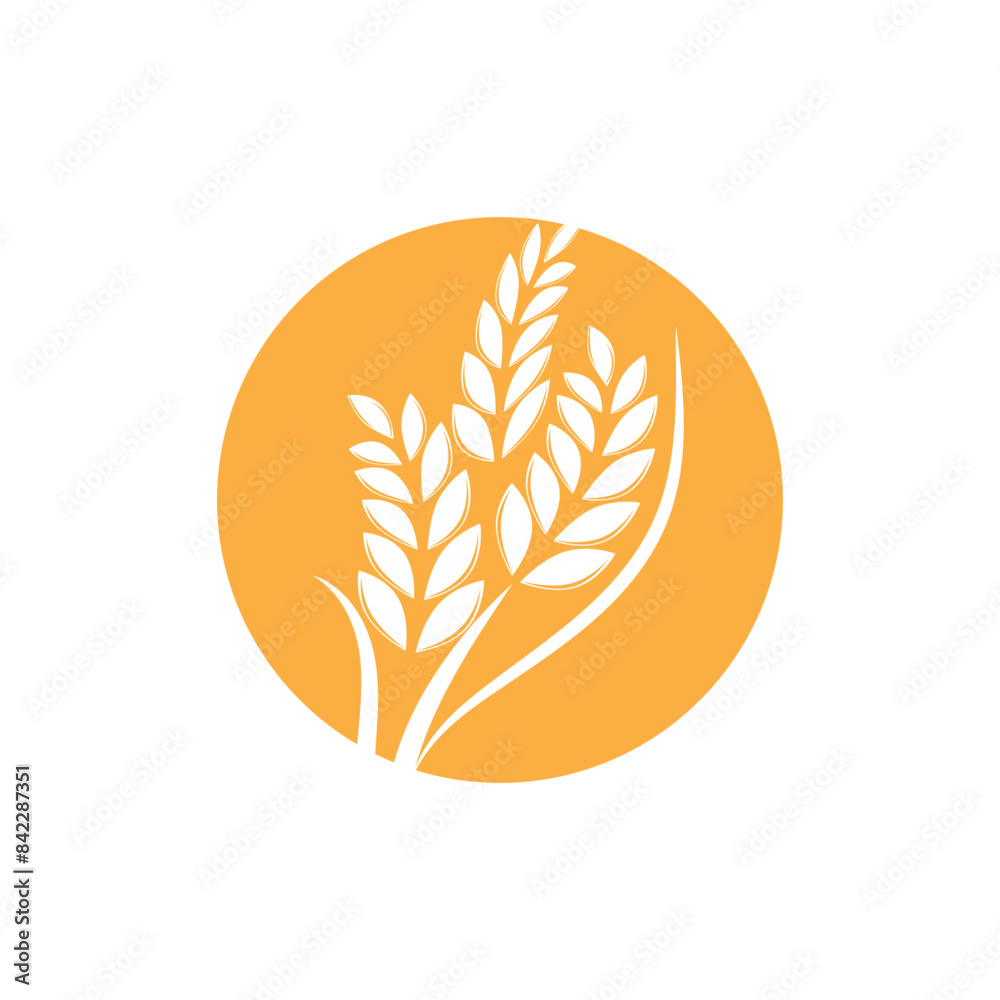 Agriculture wheat logo vector template and symbol Agriculture wheat logo vector template and symbol