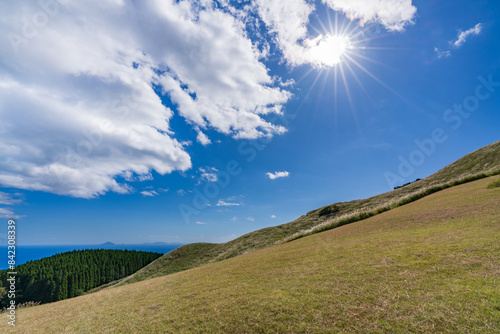 稲取細野高原
