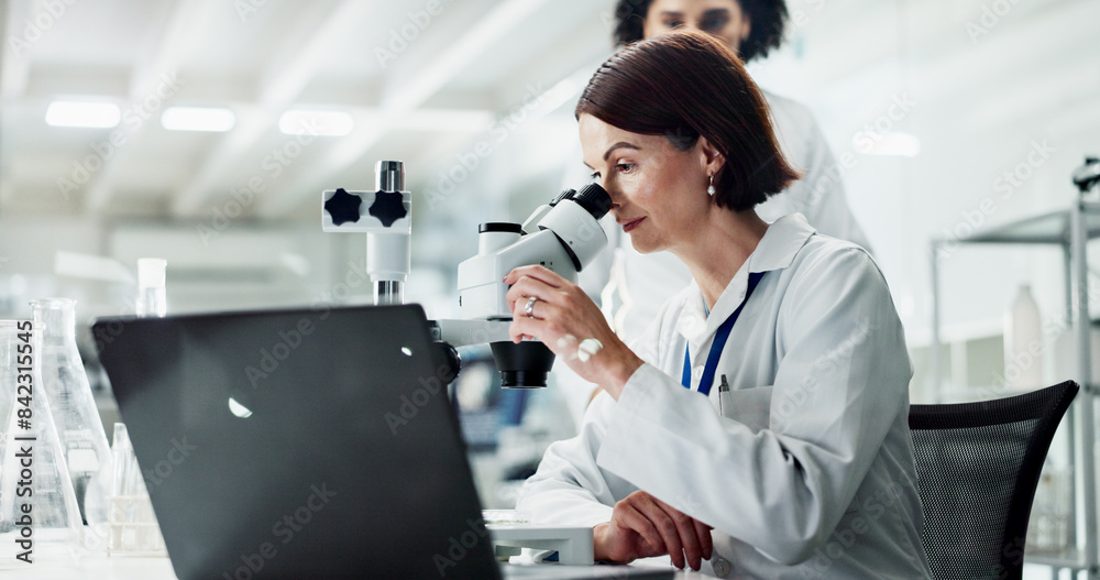 Chemistry, laptop and women in lab, microscope and testing with science experiment, research and medicine. Results, researcher or employees with equipment, pc or study with sample analysis or biotech Chemistry, laptop and women in lab, microscope and testing with science experiment, research and medicine. Results, researcher or employees with equipment, pc or study with sample analysis or biotech