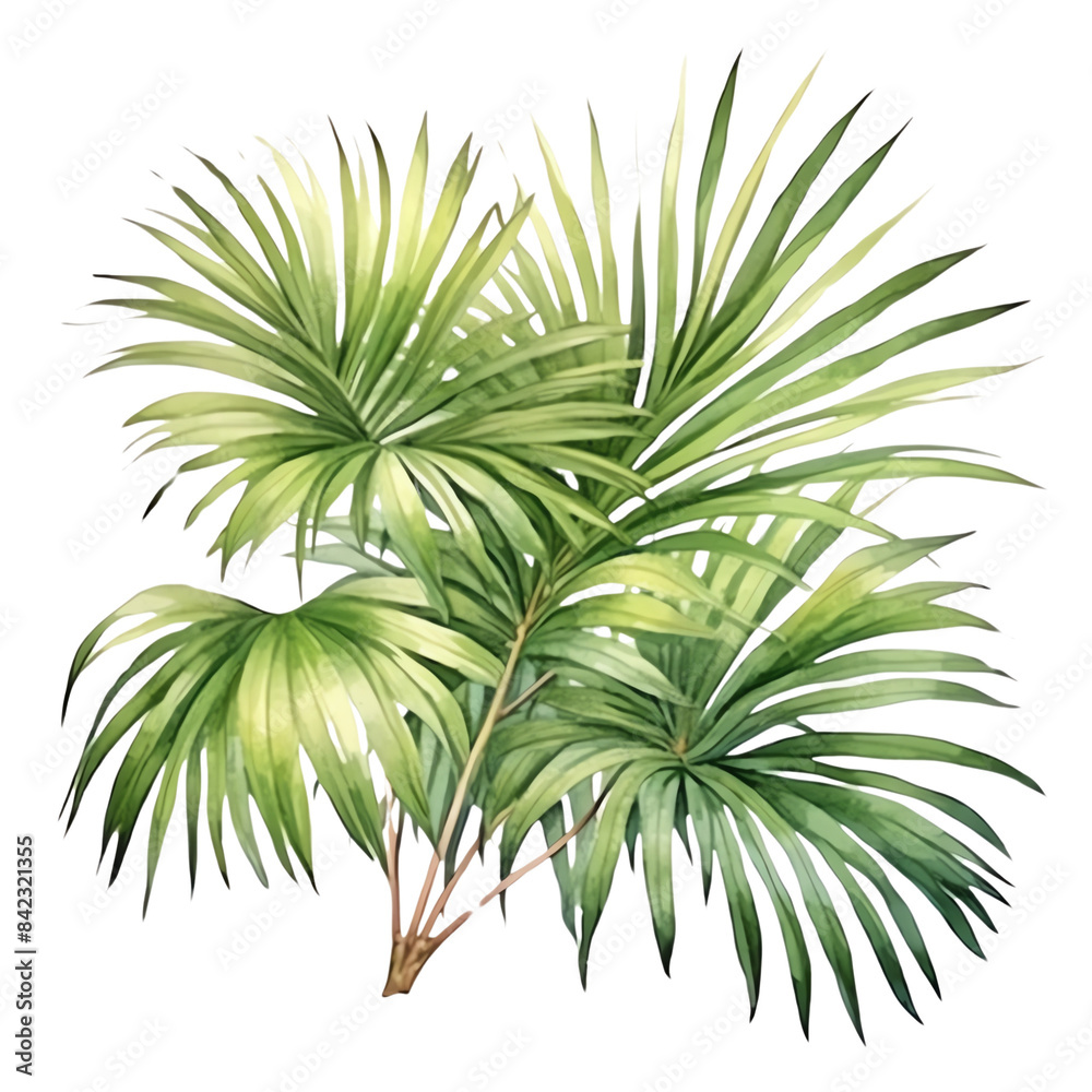 High-resolution illustration of lush green tropical palm leaves, perfect for botanical and nature-themed designs. High-resolution illustration of lush green tropical palm leaves, perfect for botanical and nature-themed designs.