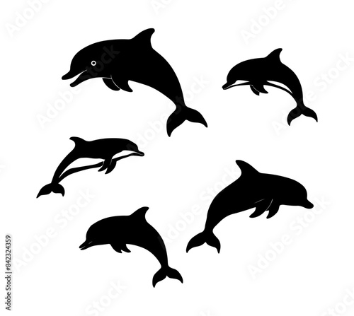 Dolphin vector isolated on white background illustration, sea fish, swimming flipper dolphins