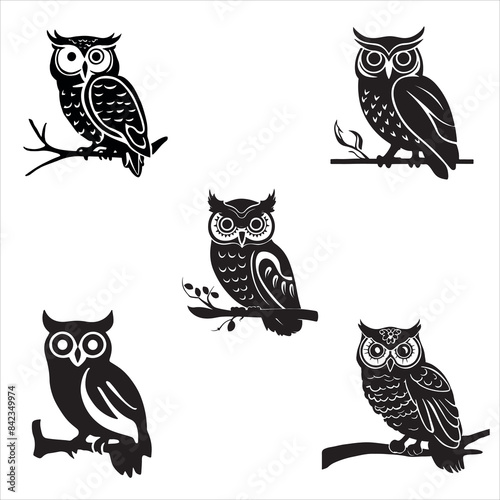 5 Packs Of Owls Silhouetee For Design,Illustration,Vector, photo