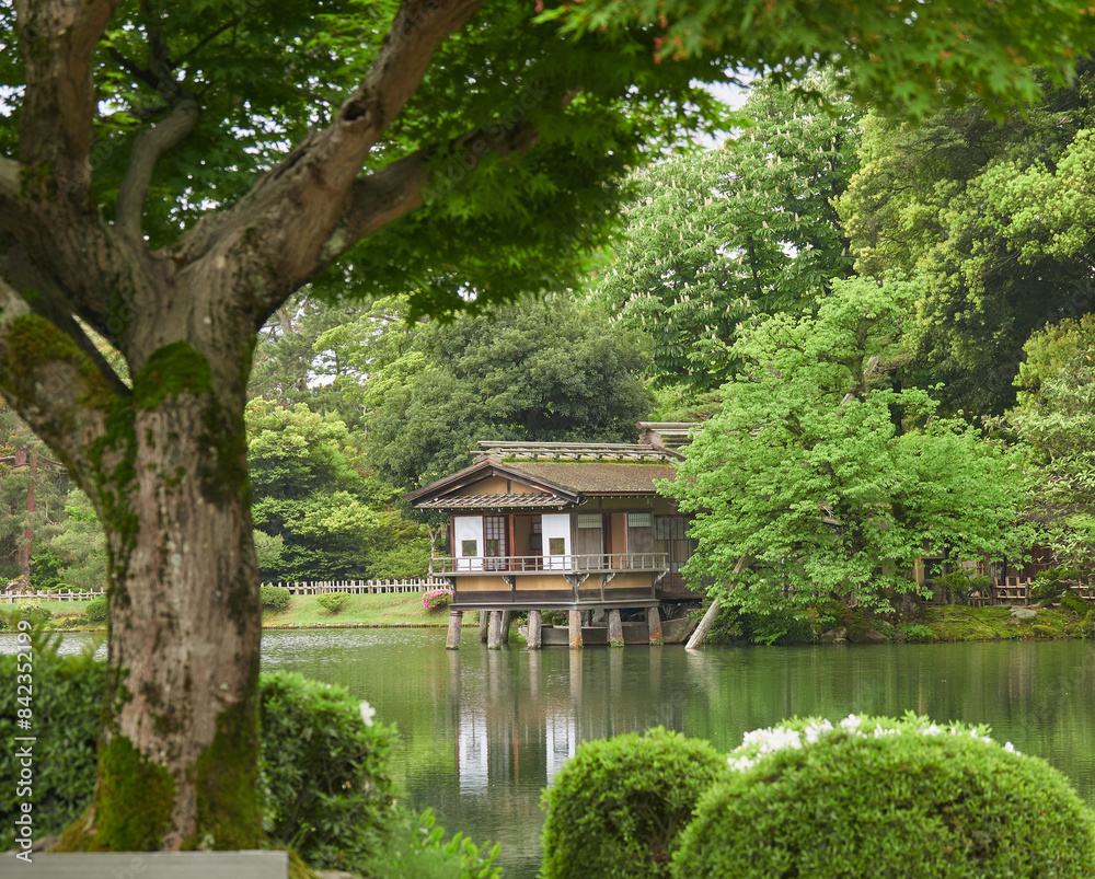 Obraz premium 初夏の新緑の兼六園の内橋亭の風景