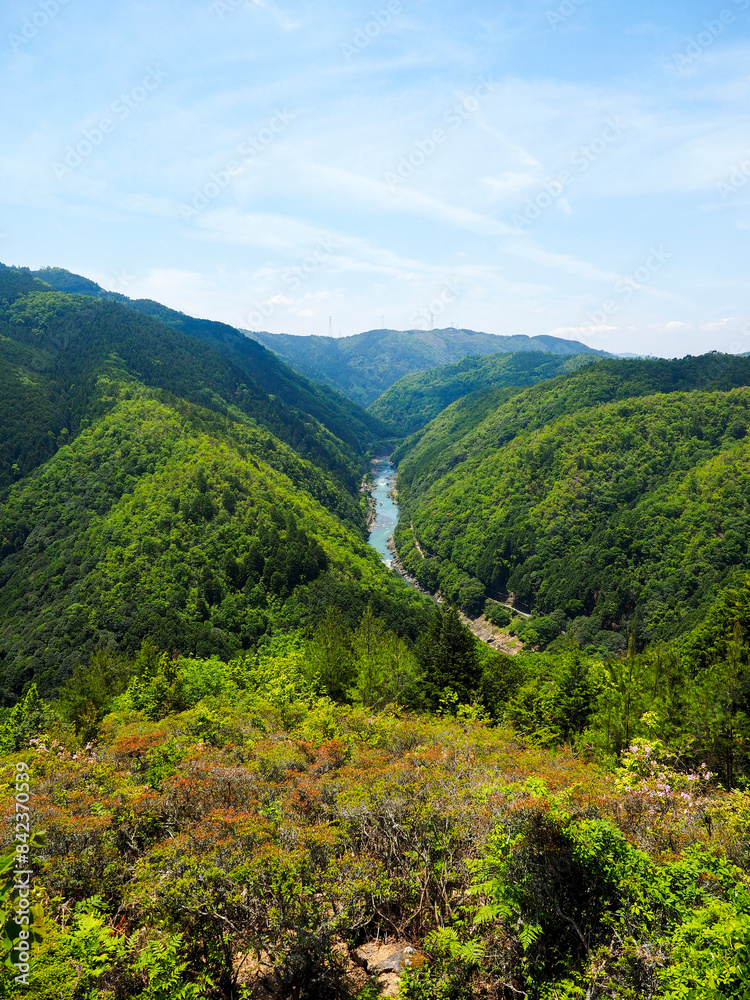 Fototapeta premium 嵐山高雄パークウェイの展望台から眺める保津峡の風景