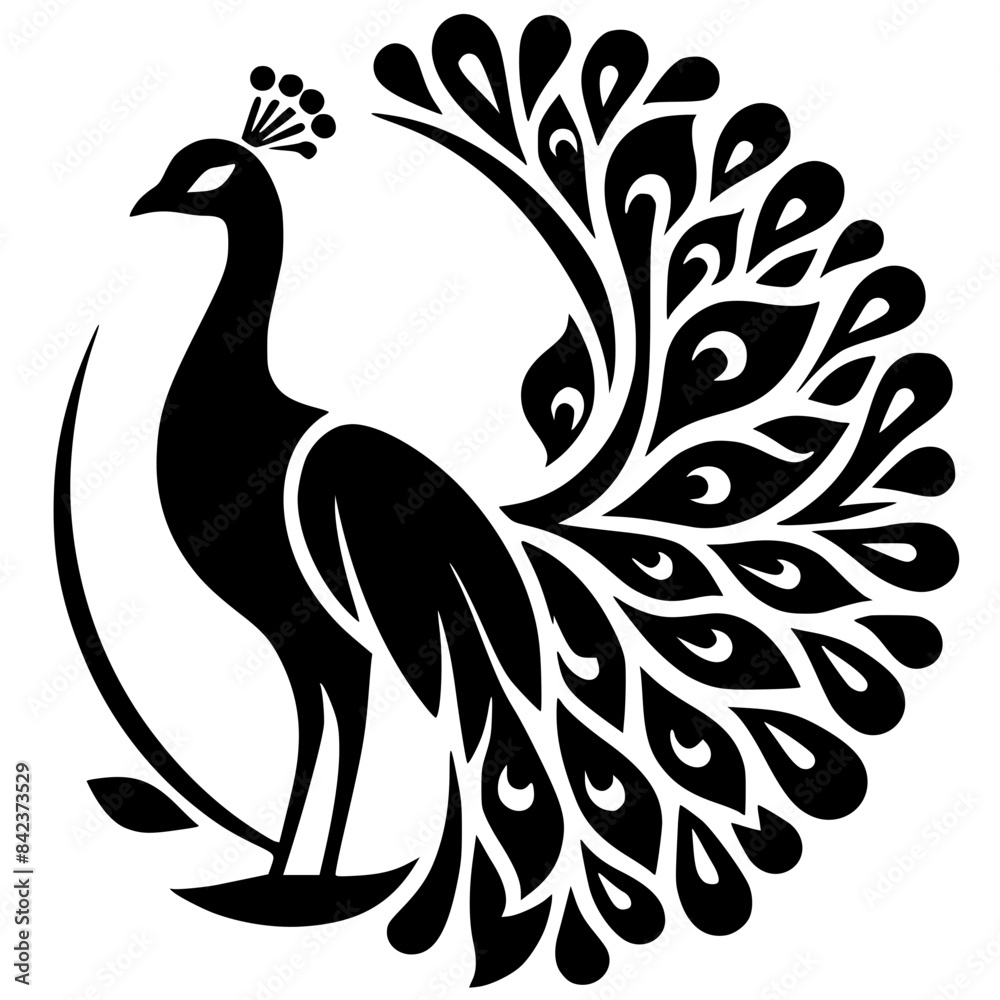 Obraz premium Beautiful peacock silhouette