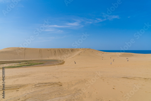 日本の鳥取にある広大な砂丘の風景 photo