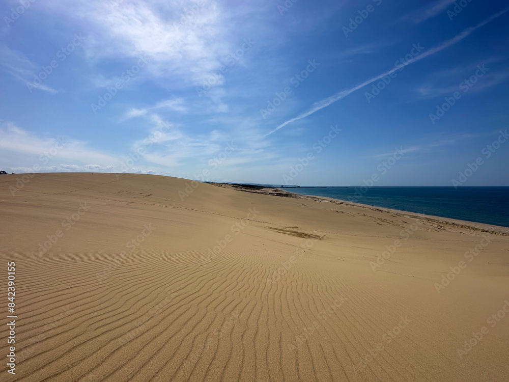 日本の鳥取県にある巨大な砂丘の風景 日本の鳥取県にある巨大な砂丘の風景