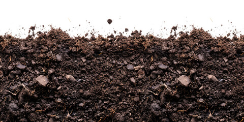 soil background texture border frame isolated on transparent white background, gardening agriculture rural soil material type closeup	