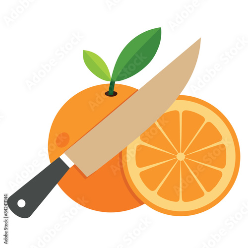 orange fruits, half cutting orange vector flat style illustration