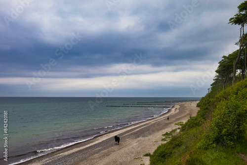 Wallpaper Mural Blick vom Steilufer auf den Ostseestrand am Gespensterwald Nienhagen, Mecklenburg-Vorpommern, Deutschland Torontodigital.ca