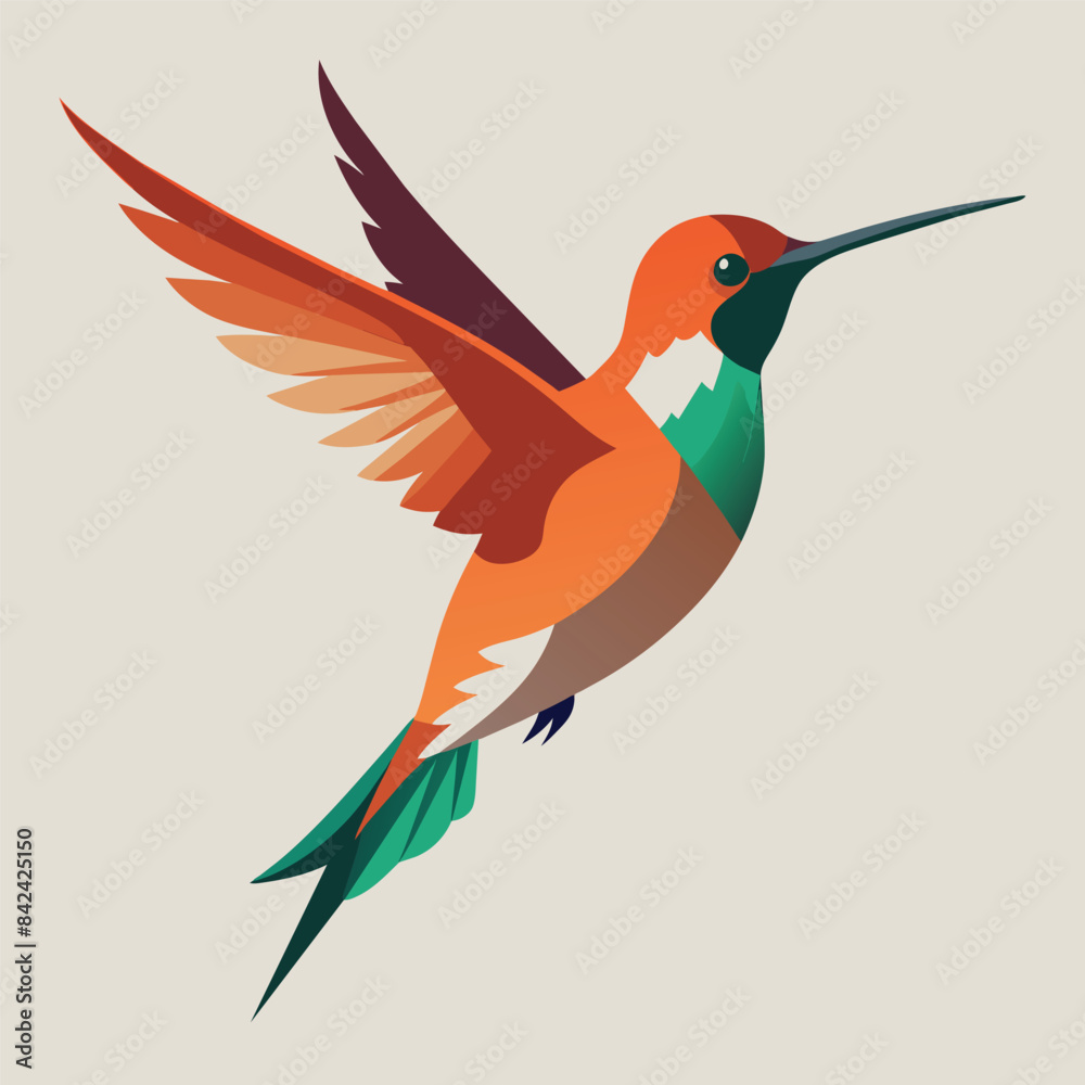Obraz premium Allens Hummingbird bird dancing vector white background