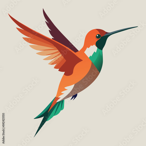 Allens Hummingbird bird dancing vector white background