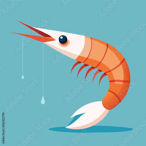 Vector illustration EPS 10 Antarctic Krill shrimp cries vector white background