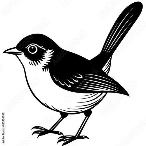 illustration of a duel bird