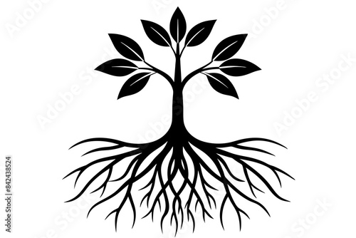 plant roots grow vertically silhouette vector illustration