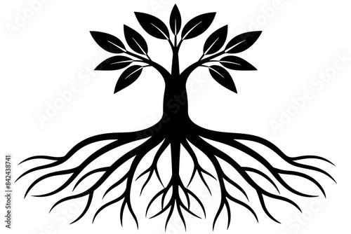 plant roots grow vertically silhouette vector illustration