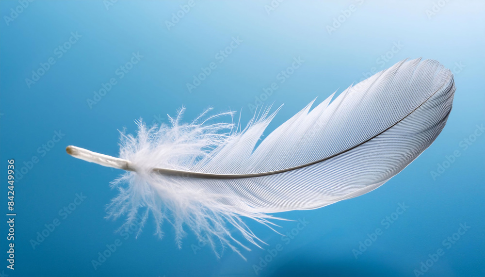 Obraz premium Single white feather floating diagonally on a clear blue background, delicate barbs and soft lighting highlighting its texture, nature, minimalism