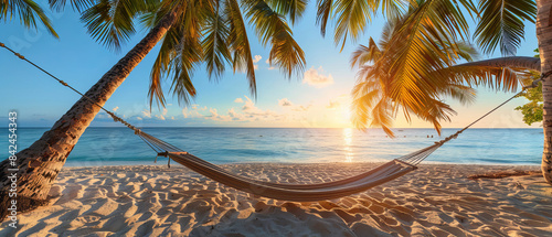 Serene Summer Bliss: Lounging in a Hammock Between Palm Trees on a Sandy Beach