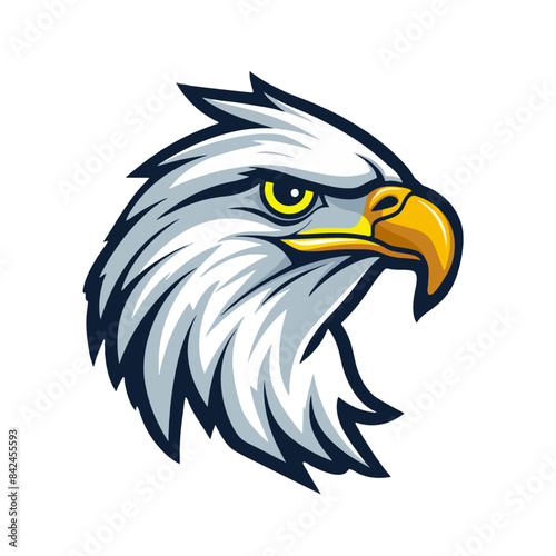 Hawk Head Mascot for Esports Team Logo Flat Color Vector