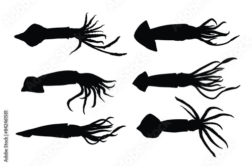 The set silhouettes of sea squid.