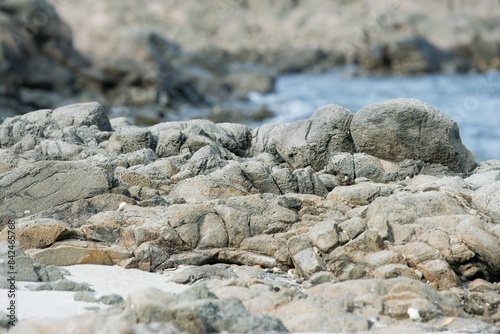 coastal rocks on a sunny day photo