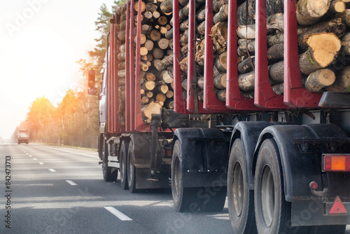 Bild auf Leinwand A timber semi-trailer truck transports timber logs along an asphalt road against a spring sunset background