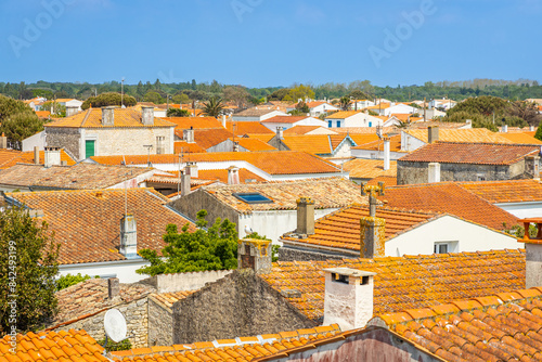 Rooftops of the village of La Cotinière in Saint-Pierre-d'Oléron, France