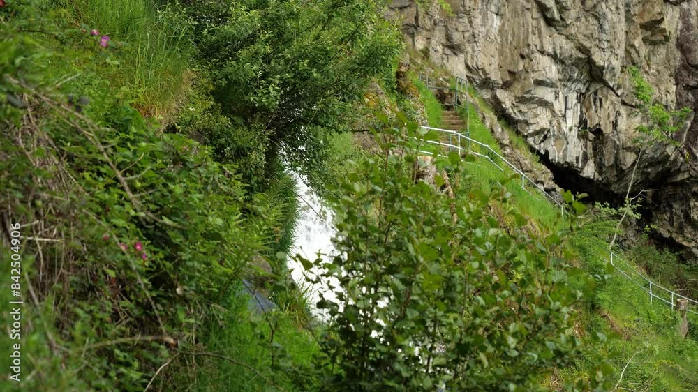 View Through Green Bushes of Todtnau Waterfall View Through Green Bushes of Todtnau Waterfall