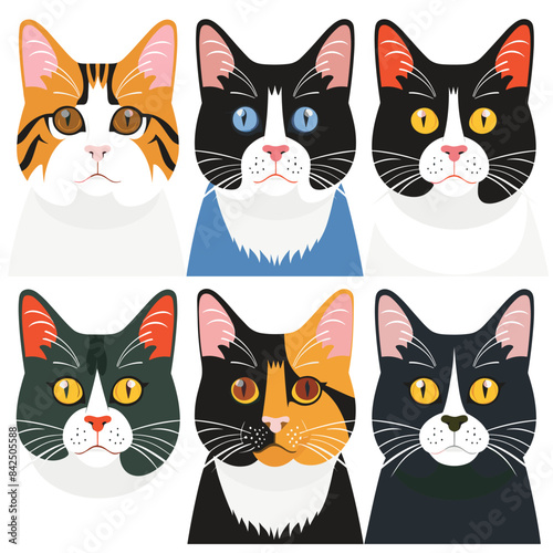 Six colorful cat faces illustrated flat design style, cat features distinctive fur patterns unique combination eye colors, suggesting different breeds