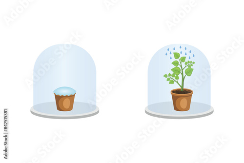 Belljar Experiment on Transpiration Scientific Design. Vector Illustration. photo