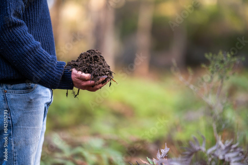 soil falling around a test tube collecting a soil collecting a soil sample in a paddock on a farm australian agronomist practicing agronomy innovation on a organic regenerative agriculture, for cows