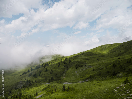 sunny mountain view on green grasslands - sunny landscape backroung with empty space  photo