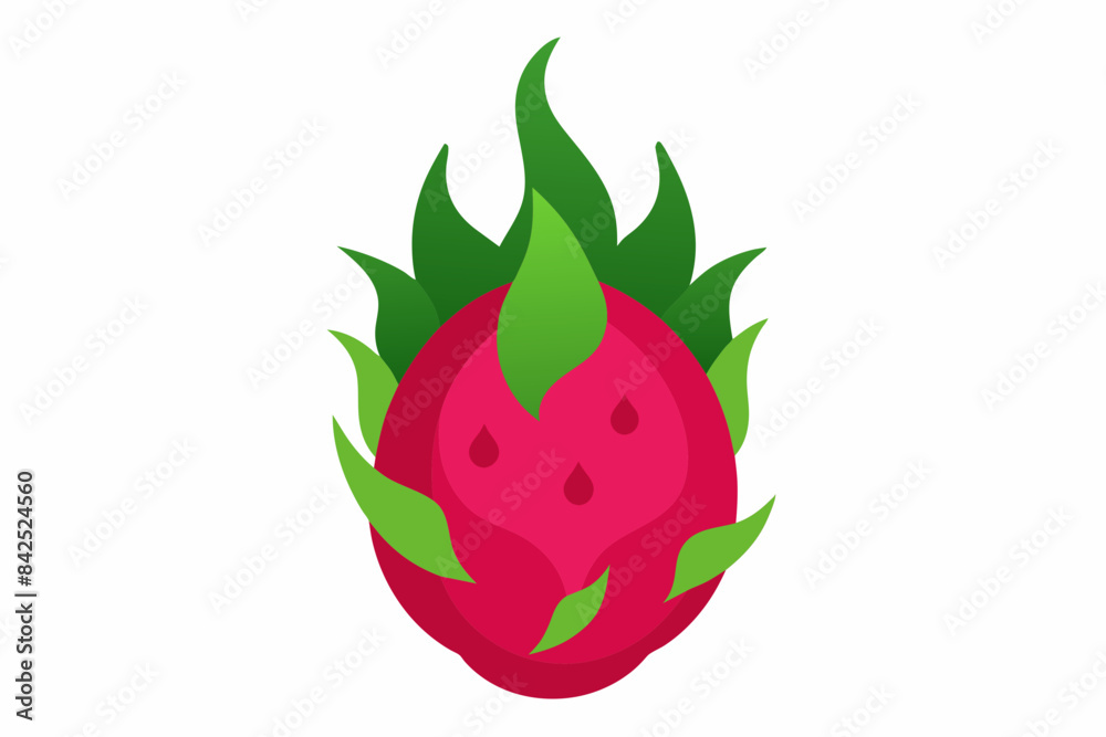 dragon fruit vector illustration