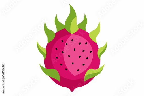 dragon fruit vector illustration