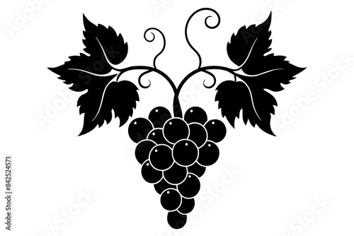 grape fruit silhouette vector illustration