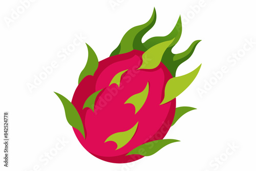 dragon fruit vector illustration