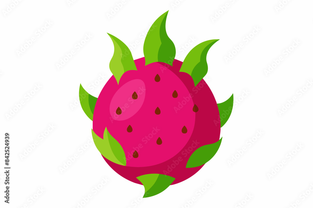 dragon fruit vector illustration dragon fruit vector illustration