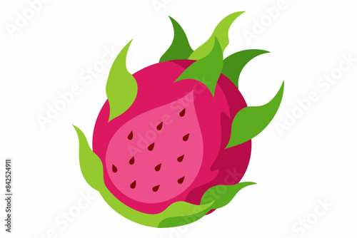 dragon fruit vector illustration