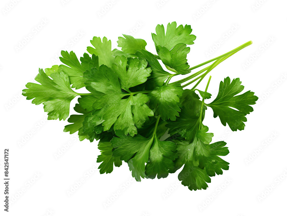 a bunch of green leaves a bunch of green leaves