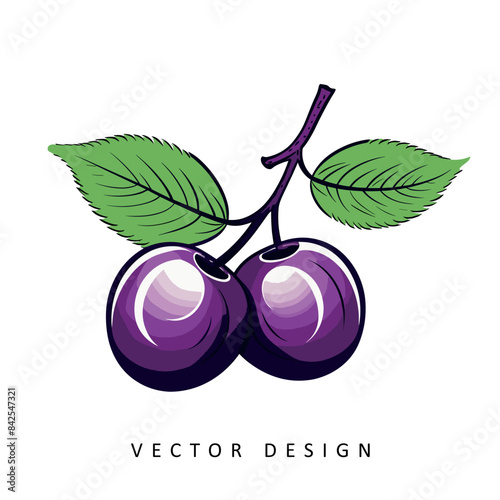 plum fruits vector design isolated illustration